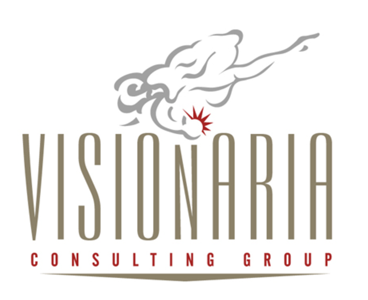 visionaria group